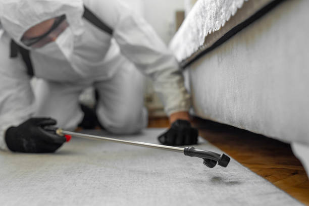 Professional Bed Bug Control technician working in Centre, AL