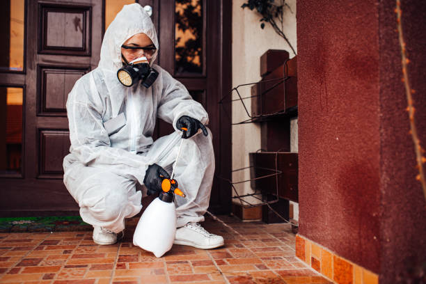 Reliable Bed Bug Control contractor in Centre, AL by Nex Pest Control